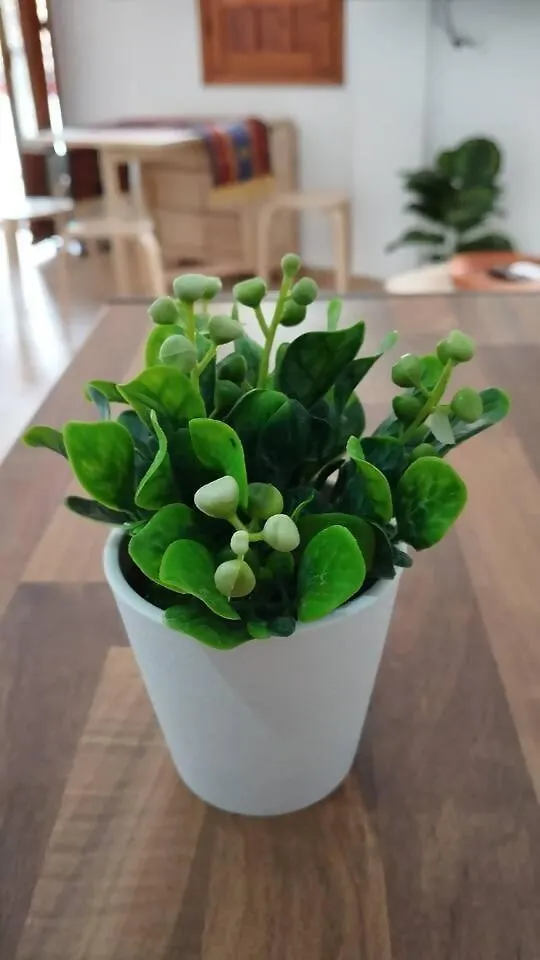 דירות קורדובה La Pequena Taifa Loft